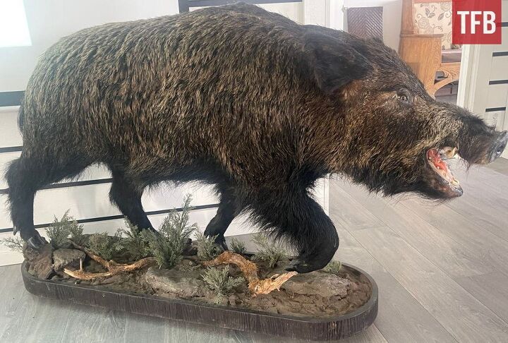 sweden softens stance on ar 15 mandatory confiscation now voluntary