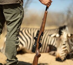 field ethos exception sauer 100 classic 9 362 on a modern action