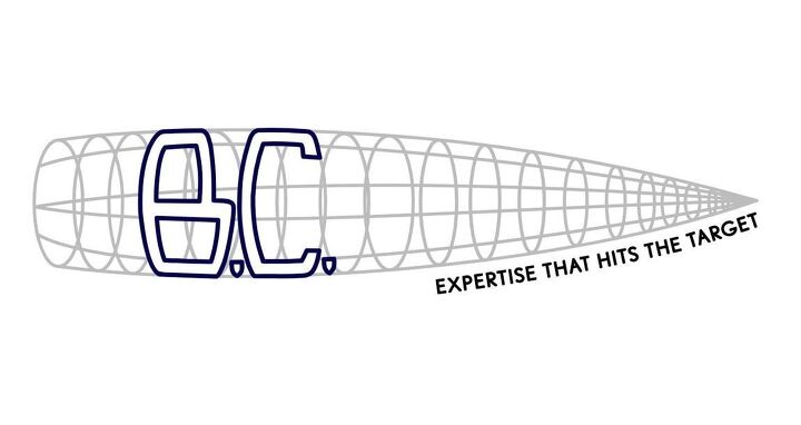 Small Business Spotlight: Bachstein Consulting