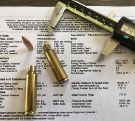 small business spotlight bachstein consulting