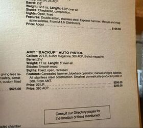 the rimfire report the elusive but cool 22lr amt backup