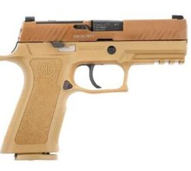 A photo released by Armmasuisse with their announcement