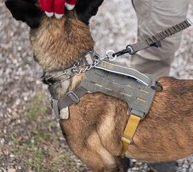 tfb weekly web deals 165 deals for december 8th 2025