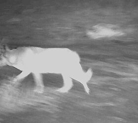 mcg dark force binoculars review a fun stocking stuffer for kiddos