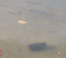 tfb review aimpoint duty rds mr the evolved duty red dot