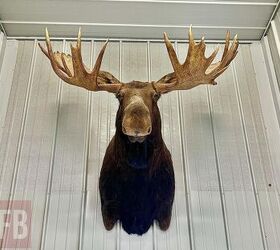 fudd friday are iron sights on a hunting rifle obsolete, Would you want to miss out on an animal of a lifetime just because your optic failed