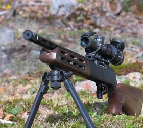 the rimfire report why the ruger 10 22 will never die