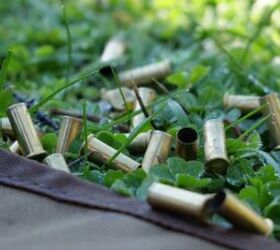 the rimfire report weird ammo cci 22lr oem 40gr lrn