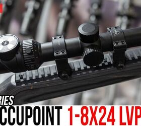Trijicon's NEW 1-8x24 AccuPoint: True 1x, No Batteries Needed