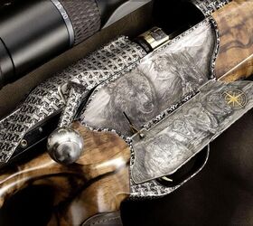 POTD: Blaser R8 300,000 “The Wild Planet”