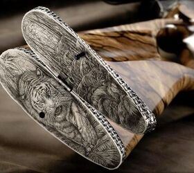 potd blaser r8 300 000 the wild planet