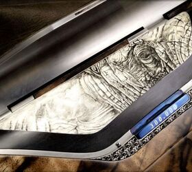 potd blaser r8 300 000 the wild planet