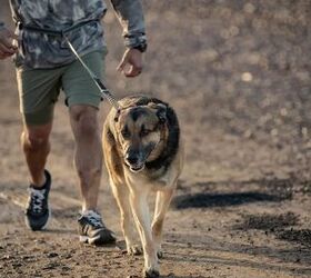 tfb weekly web deals 172 deals for february 9th 2026