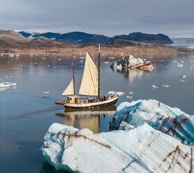 potd no room for guesswork in polar bear country