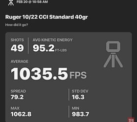 the rimfire report back to basics with the 10 22 cci standard
