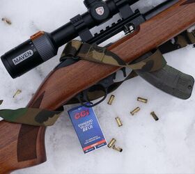 the rimfire report back to basics with the 10 22 cci standard