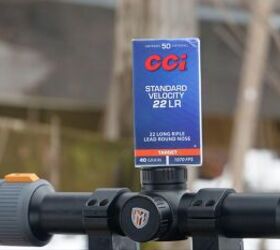 the rimfire report back to basics with the 10 22 cci standard