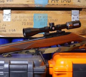 the rimfire report back to basics with the 10 22 cci standard