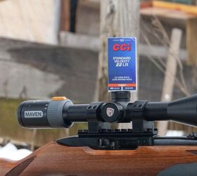 the rimfire report back to basics with the 10 22 cci standard