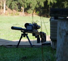 the rimfire report back to basics with the 10 22 cci standard