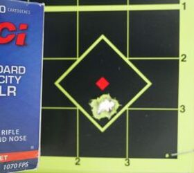 the rimfire report supreme consistency eley target 40gr