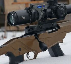 the rimfire report supreme consistency eley target 40gr