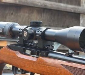the rimfire report the classic pair ruger 10 22 cci mini mags