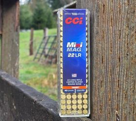 the rimfire report the classic pair ruger 10 22 cci mini mags