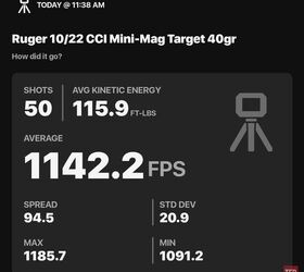 the rimfire report the classic pair ruger 10 22 cci mini mags