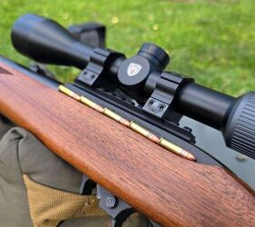 the rimfire report the classic pair ruger 10 22 cci mini mags