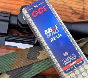 the rimfire report the classic pair ruger 10 22 cci mini mags
