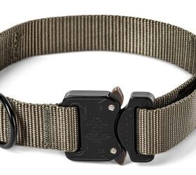 tfb weekly web deals 177 deals for march 16th 2026