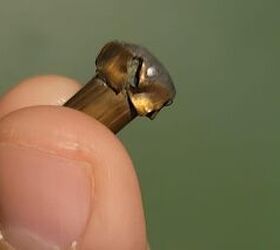 fudd friday why you should buy a 30 30, Pushed at moderate speeds a cup and core bullet like this one will take game well at reasonable range This one took the first deer that I ever harvested at about 100 yards