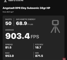 the rimfire report eley subsonic 38gr hollow point