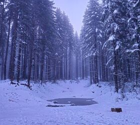 tfb review boyds agility deadset stock