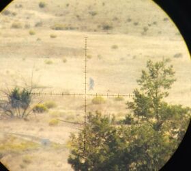 tfb review boyds agility deadset stock