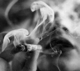 SCOTUS Seems Ready to Strike Down Gun Ban for Marijuana Users