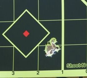 the rimfire report a step up from target eley club 40gr rn