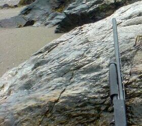 fudd friday the highs and lows of the winchester model 1200, A Winchester 1300 Speed Pump was one of the first shotguns I owned and I laid down a lot of game with it Zac K