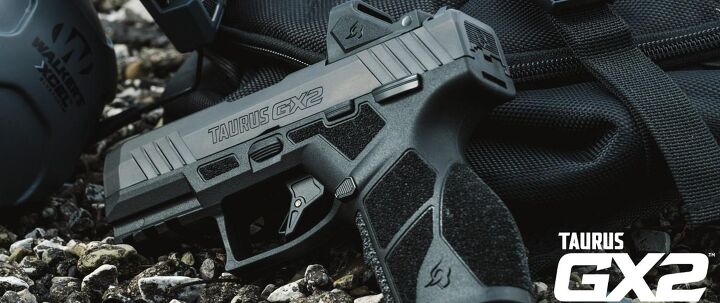 GX2 TORO общий вид