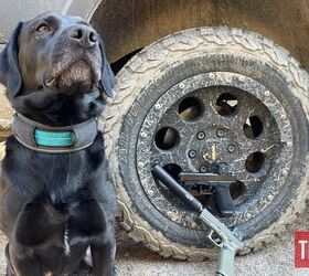 tb review glock 17 gen6 first 1 000 rounds