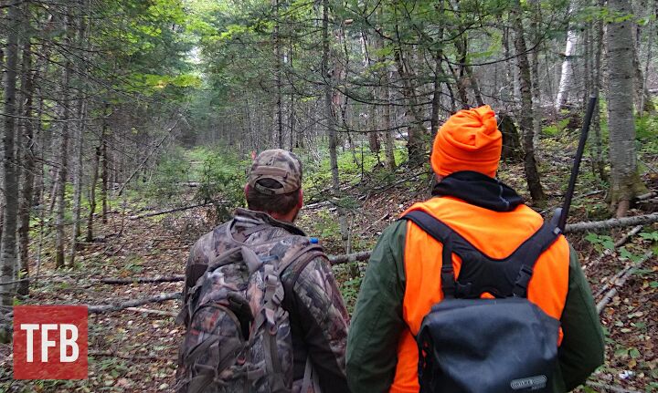Fudd Friday: Guns For Small Game Hunting In 2026