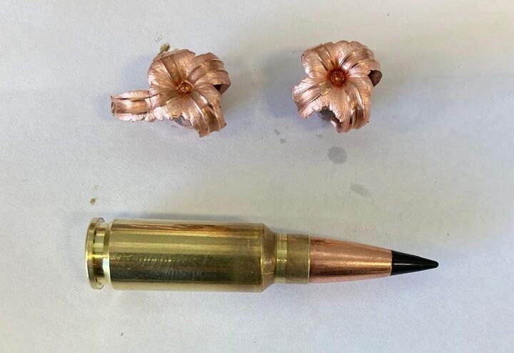 30 whitetail new deer hunting cartridge for the prairie state