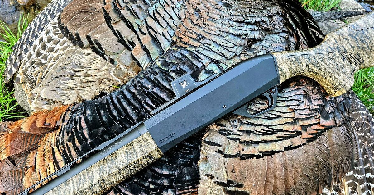 TFB Review: Vortex Optics Viper Shotgun Enclosed Micro Green Dot