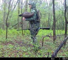 tfb review vortex optics viper shotgun enclosed micro green dot