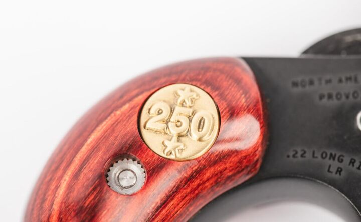 Wheelgun Wednesday: A Stealthy Hideout Revolver For America’s Birthday ...