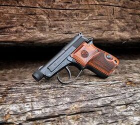 TFB Review: Making the Missing Link- Beretta 21A Bobcat Covert .25 ACP