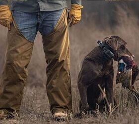 Kent Loads Up With Waterfowl And Pheasant Shells, And Rebates