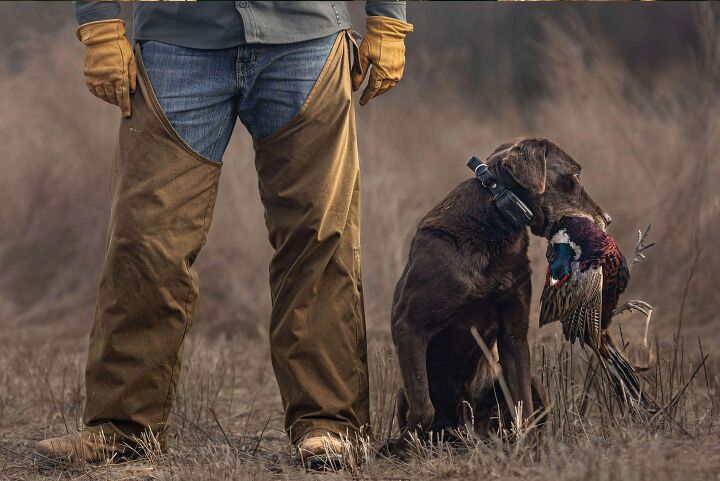 Kent Loads Up With Waterfowl And Pheasant Shells, And Rebates