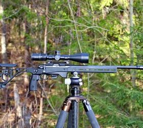 potd tikka t1x with ase utra suppressor